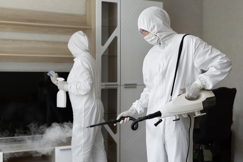 What Is The Difference Between Sanitizing & Disinfecting?