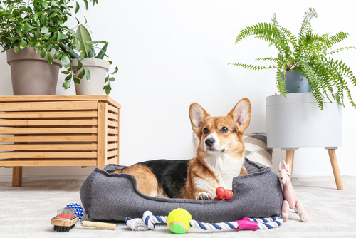 Identifying High-Risk Areas for Contamination