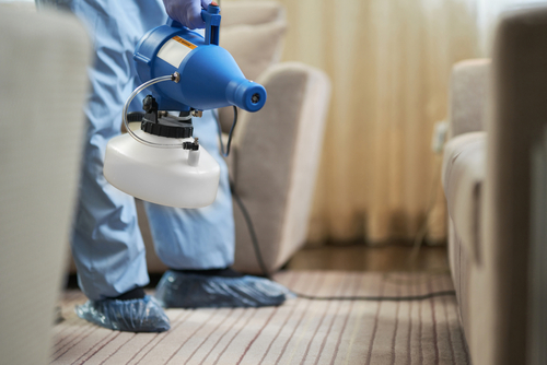 Deep Cleaning and Disinfection